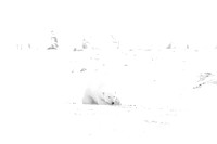 171117-Churchill-0363