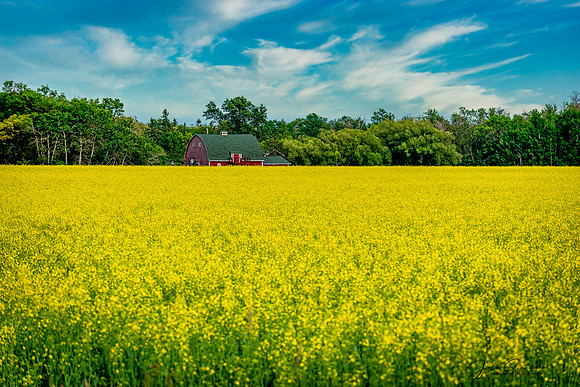 210708-Hecla-0218-Edit