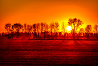 210930-Rustic Farm Souris-0009-Edit