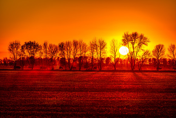 210930-Rustic Farm Souris-0009-Edit