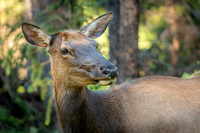 2007-Rocky_Mtn-0730