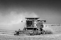 _DSC0186_462620