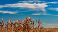 2015-10-11_Riding_Mtn-385-Edit