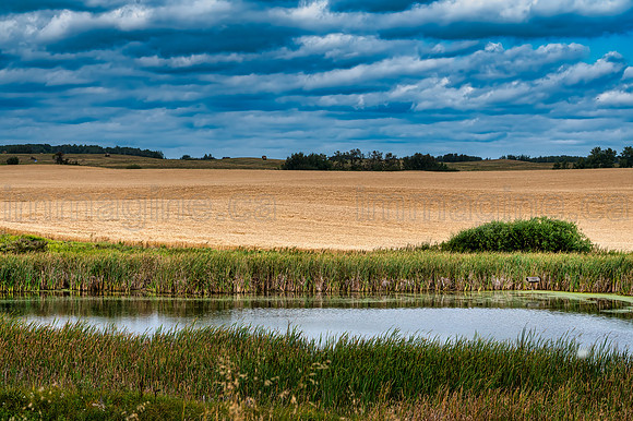 230901-Wasagaming-0390-Edit-Edit-Edit