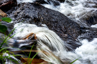 200718-Rushing_River-0313