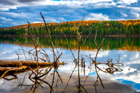 Portfolio-Lake Life