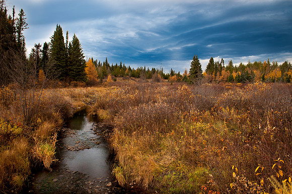 2015-10-11_Riding_Mtn-818-Edit