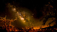 042916_California-2389