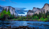 Portfolio-Landscape Marvels