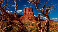 1608_Utah-1823