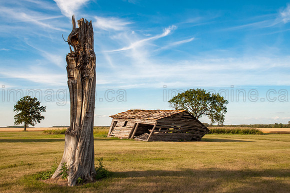 _DSC0817_223622-HDR