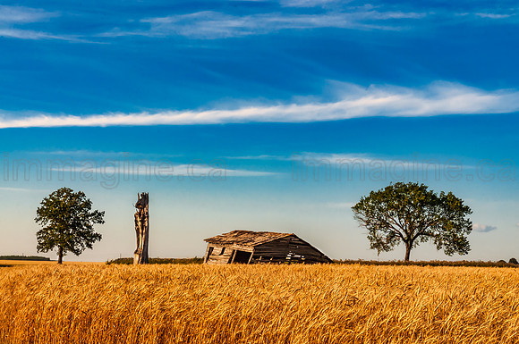_DSC0952_223757-HDR-Edit