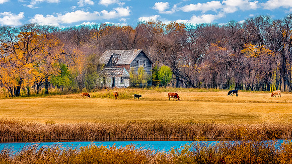 2015-10-11_Riding_Mtn-4-Edit-Edit-Edit