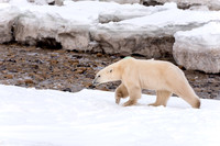 Portfolio-Northern Manitoba
