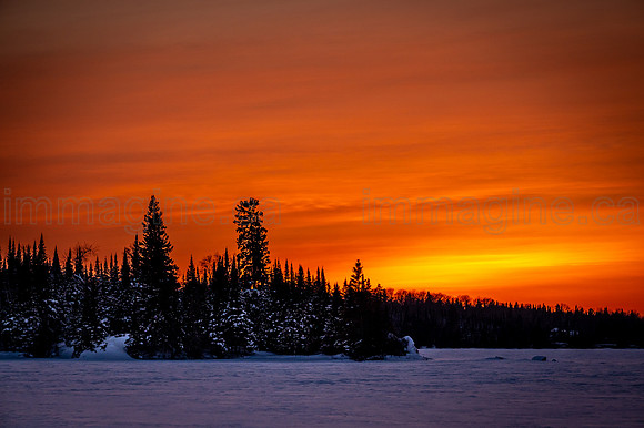 220221-Falcon_Trails-0247