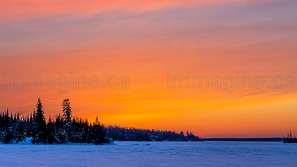 220221-Falcon_Trails-0257