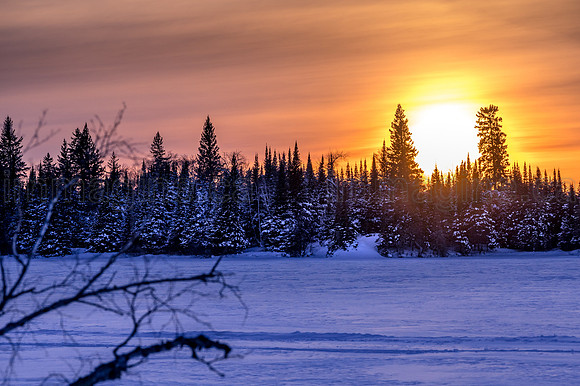 220221-Falcon_Trails-0238