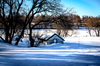 Portfolio-Winter Beauty
