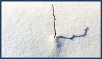 230220-Falcon_Trails-0621-Edit-Edit