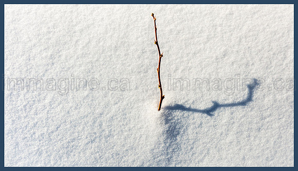 230220-Falcon_Trails-0621-Edit-Edit