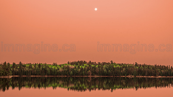 230512 Sandpiper-0419