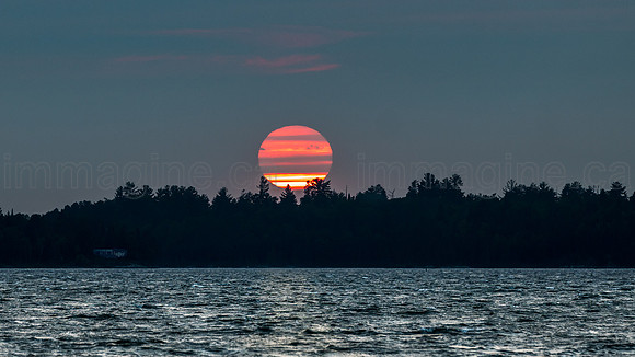 230819-Laughing Water-0041-Edit-3-Enhanced-SR