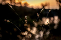 200718-Rushing_River-0035