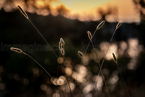 200718-Rushing_River-0035