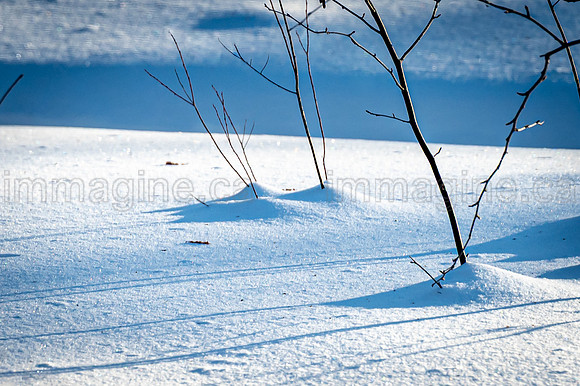 220221-Falcon_Trails-0277