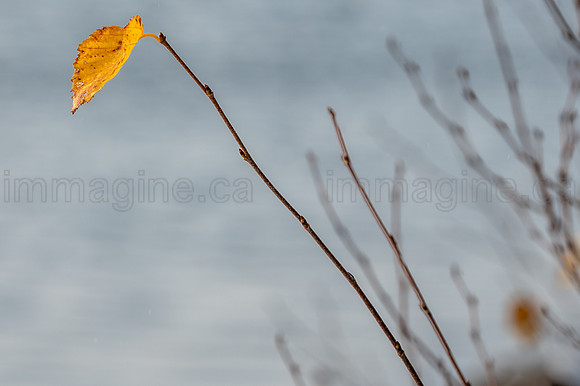 231027-Peregrine-2104-HDR