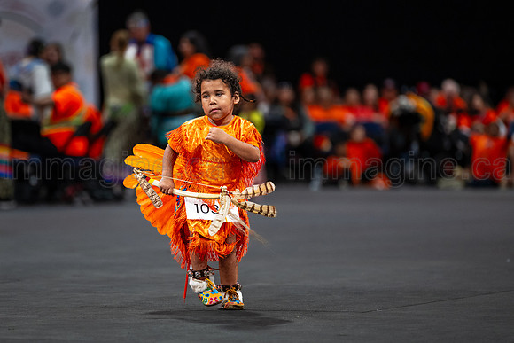 260930-SCO Pow Wow-0271
