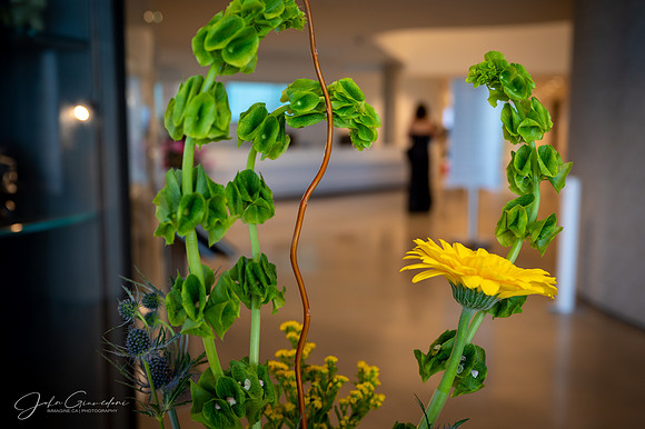 220331-WAG-Art_in_Bloom-0010